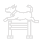 pet-sitting-training