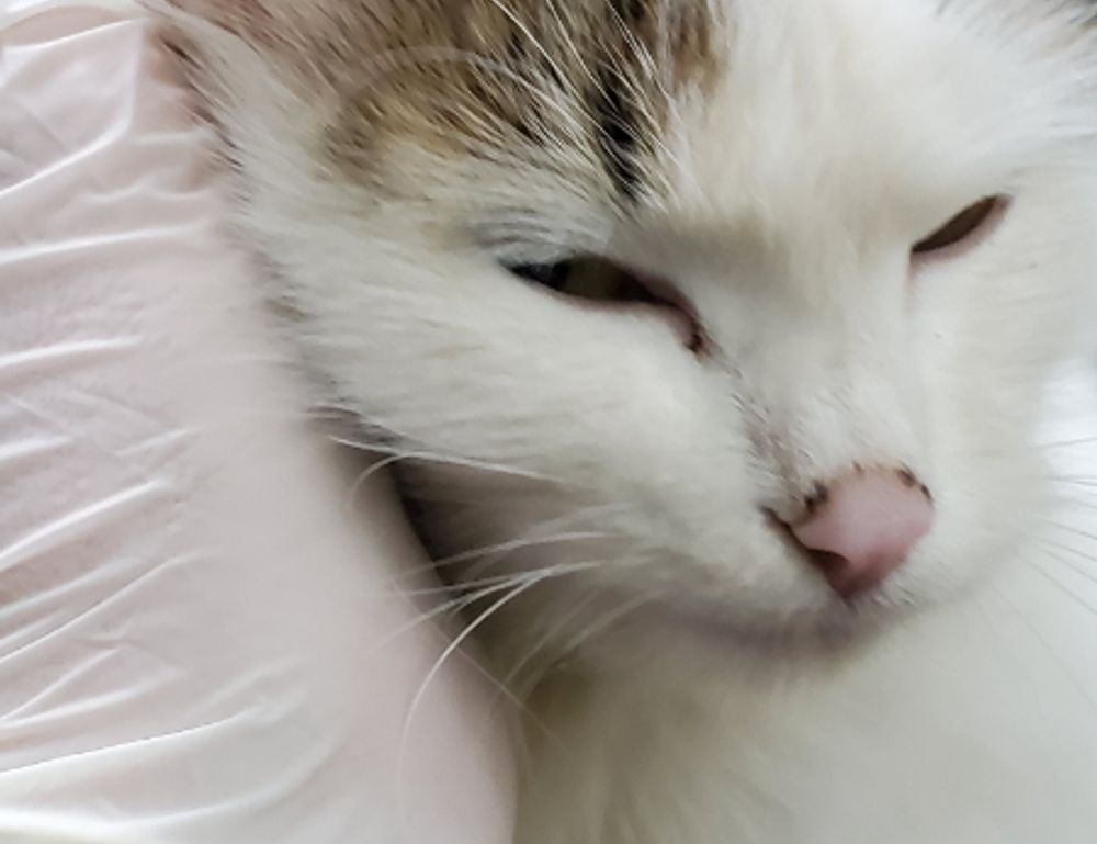 how endbugflow software can be protected