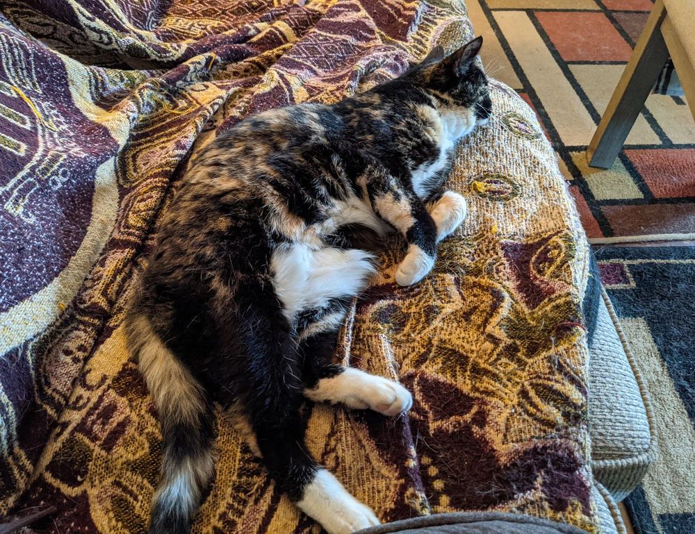 how python 2579xao6 can be used for data analysis