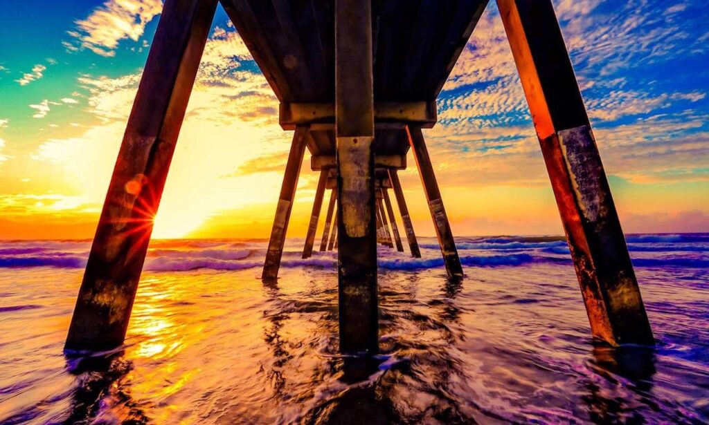 infoguide for birds llblogpet