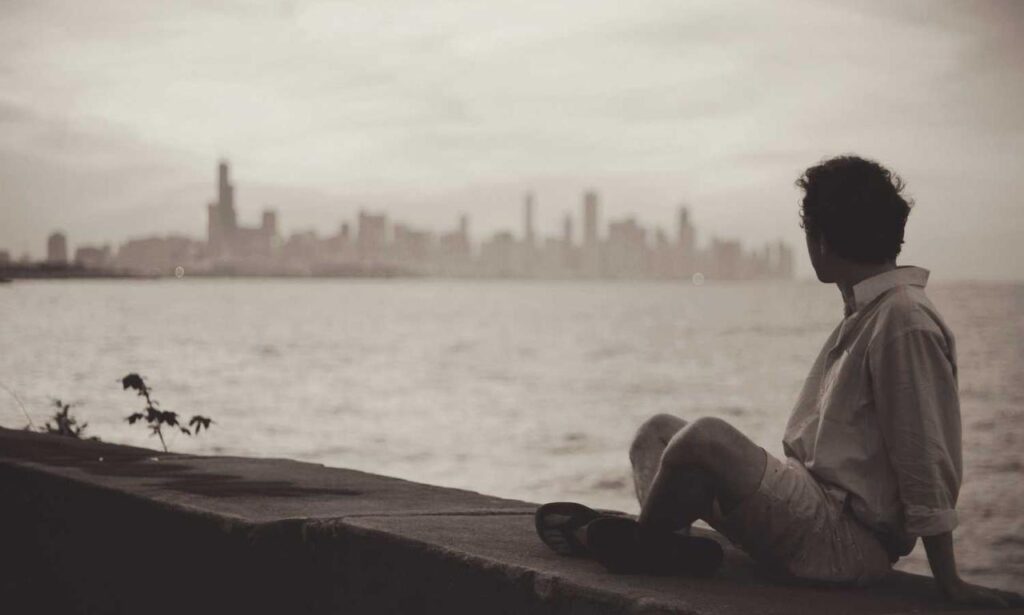 infoguide for kittens llblogpet