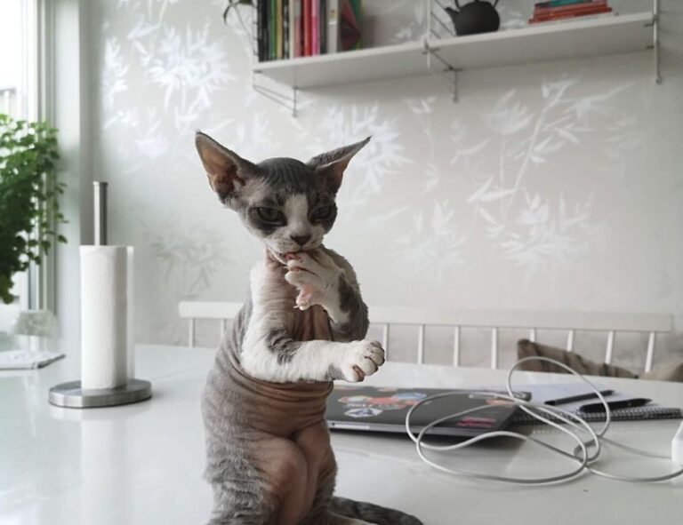 is kuvorie islands dangerous