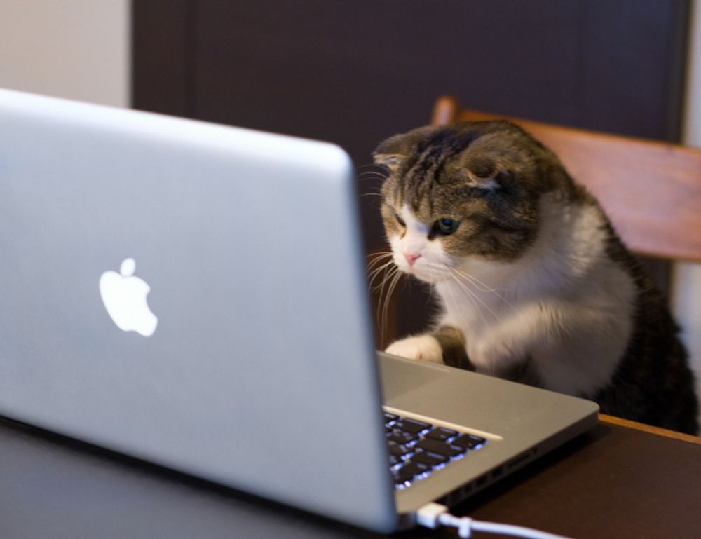 software gdtj45 builder problems