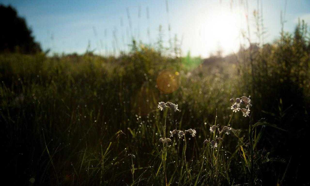 to find yr-ws486rp-gtr