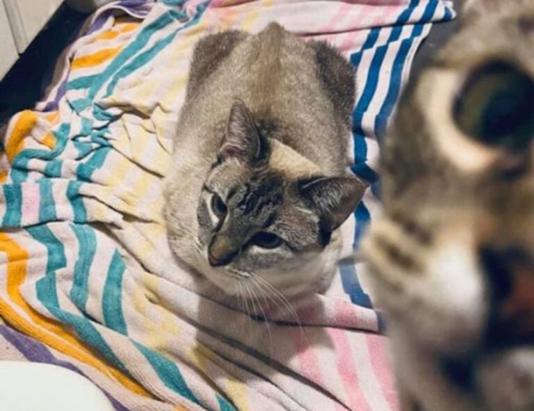 what should i wear in drapizto island