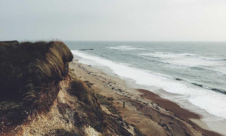 why genboostermark software is so popular