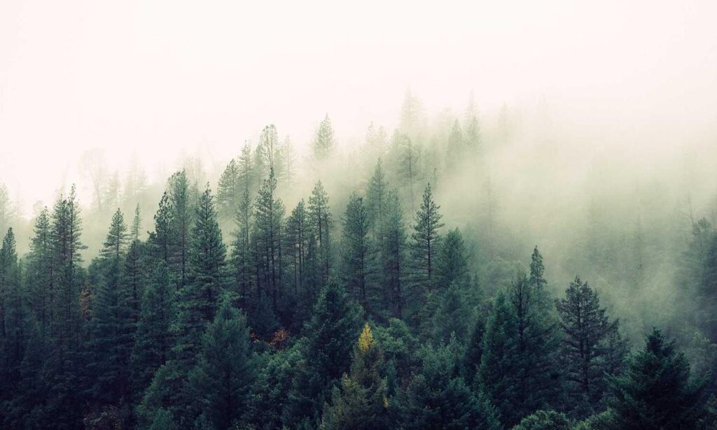 why python genboostermark is used in cyber security