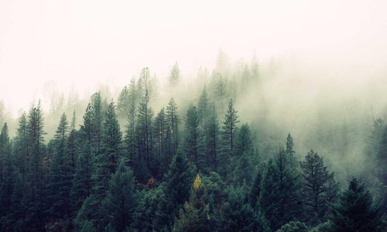 why python genboostermark is used in cyber security