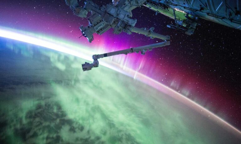 indoor pets lwmfpets