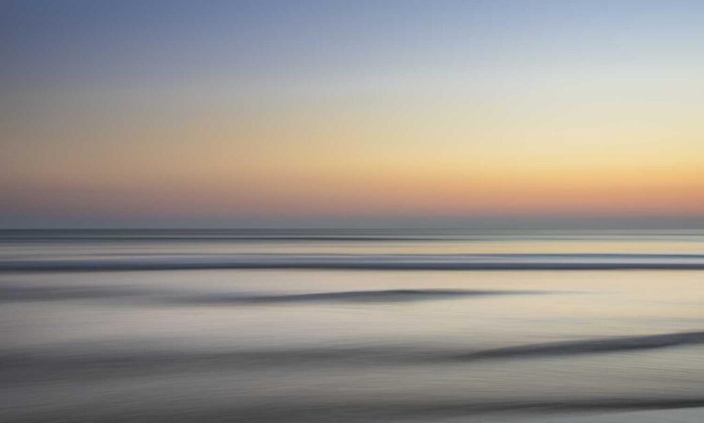 pet guide lwmfpets from lookwhatmomfound