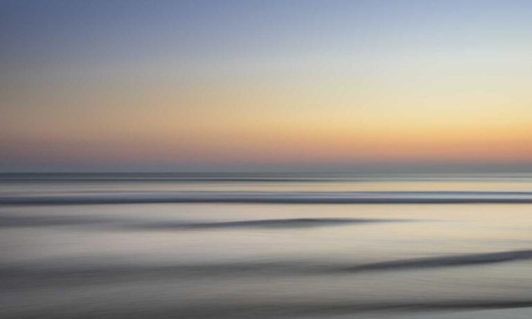 pet guide lwmfpets from lookwhatmomfound