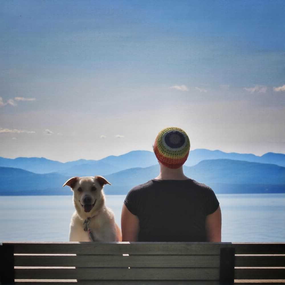 81bgw2h55drmy0cwnpk96nn1z8