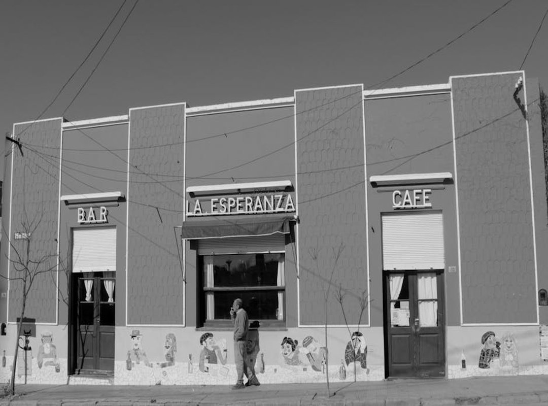 Expresiones Felinas Graciosas: Capturando Momentos Únicos