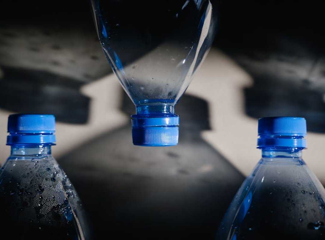 Lwmfpets Indoor Pets