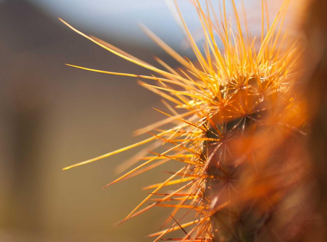 Top Alternatives: Other Retailers & Similar Products