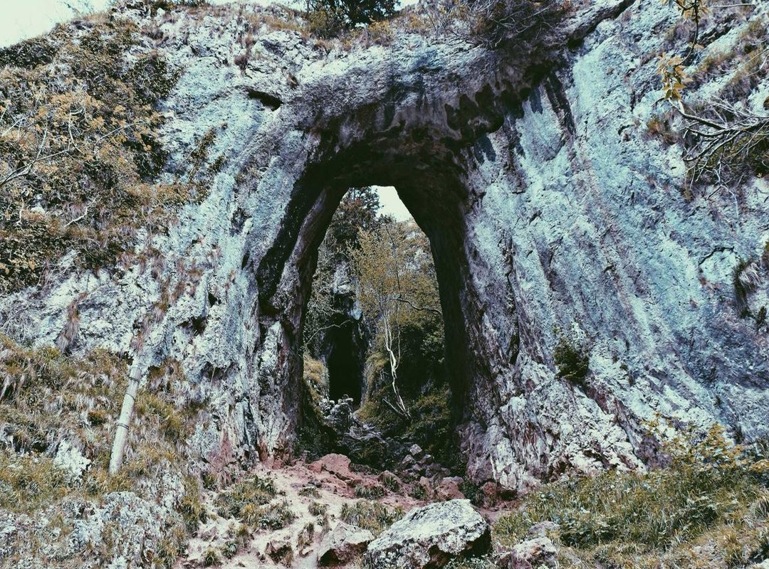 Adding the Iconic Details: The Jersey, Face, and Trophy