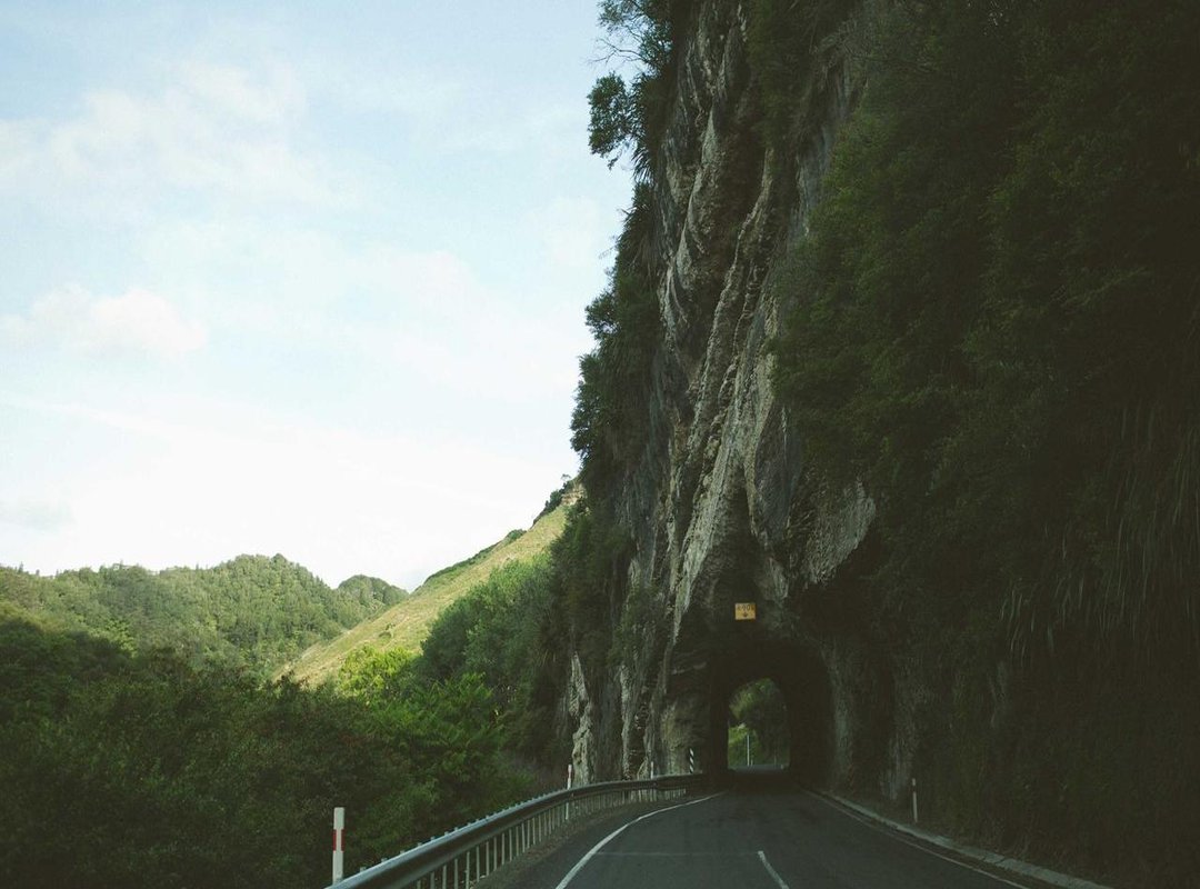 Understanding the Risks and Rewards: Is the RP APK Right for You?