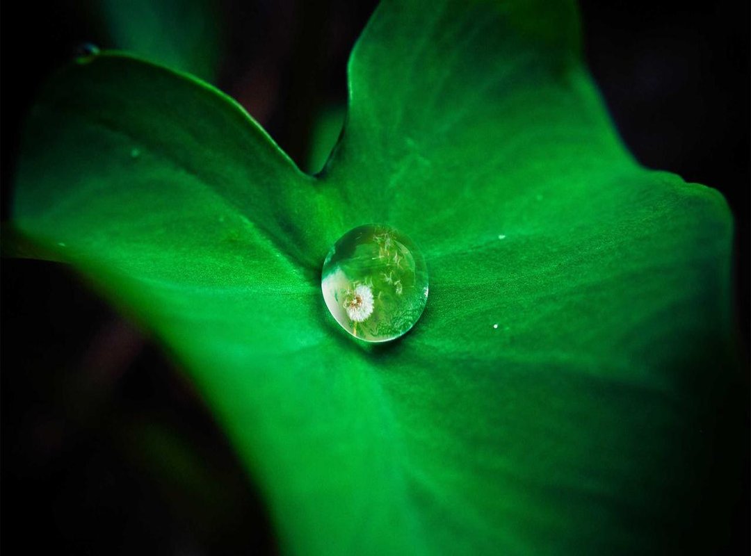 Find Your Favorite Character: Themed Bluey & Bingo Wallpapers