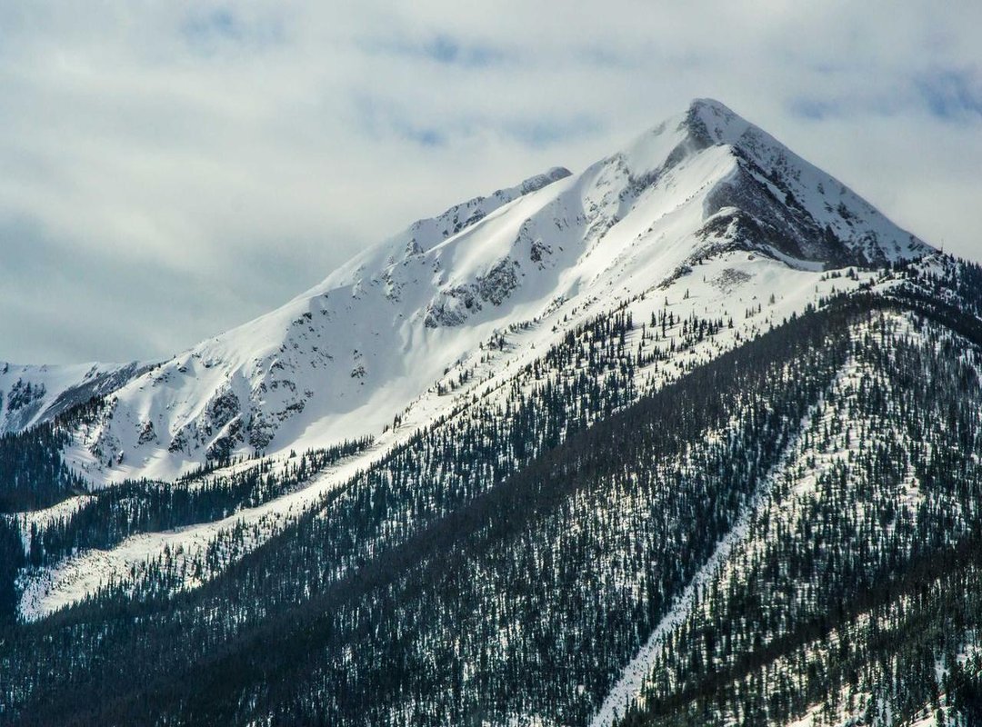 Meet Manny's Team: The Talking Tools