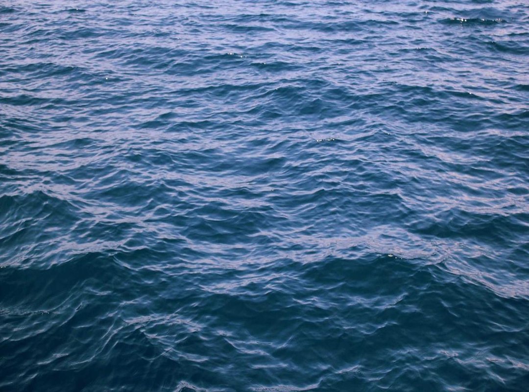 Reddit's Role: How the Video Went Viral