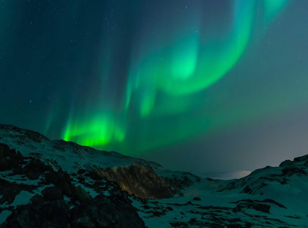 Beyond Fiona: Other 'Manwijf' Figures in the Shrek Universe