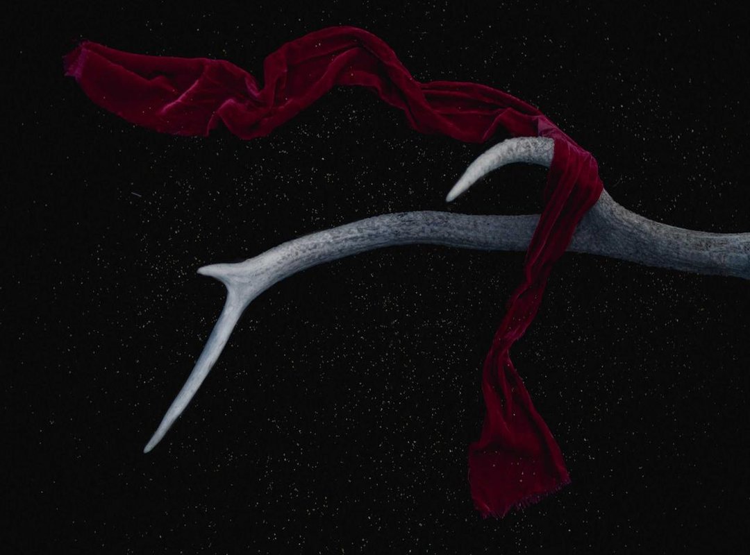 How to Navigate the Prohibition: Tips and Strategies