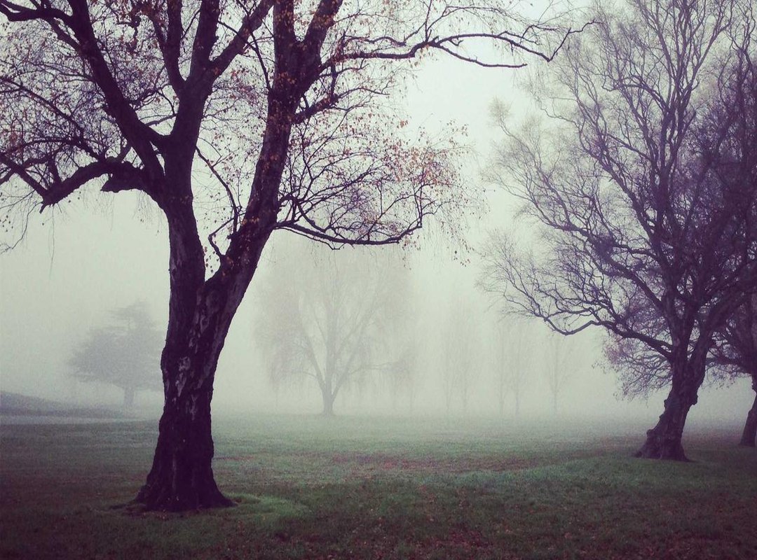 More Than Just Shopping: In-Store Services and Features