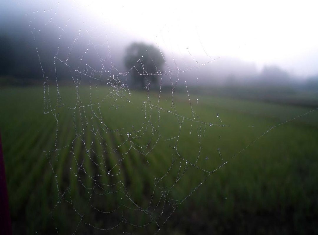 Act II: The Enchanted Lake and a Terrible Curse