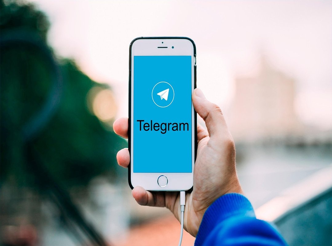 Accessing Miguel Vicente’s Videos on Telegram