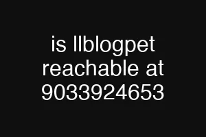 is llblogpet reachable at 9033924653