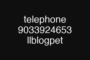telephone 9033924653 llblogpet
